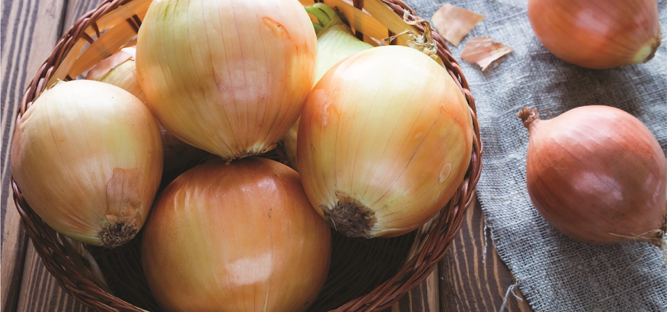 All You Need To Know: Vidalia Onions