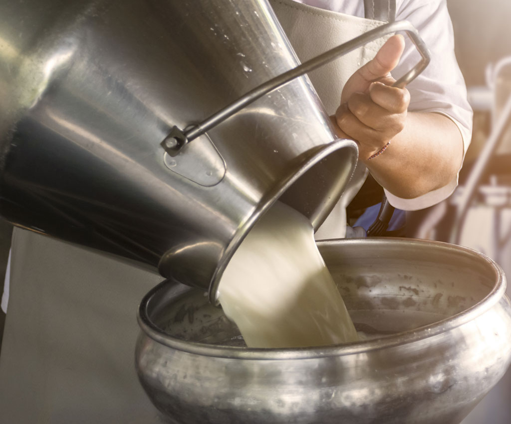 Fresh Milk