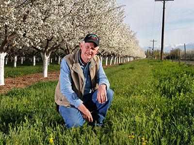 McMullin Orchards